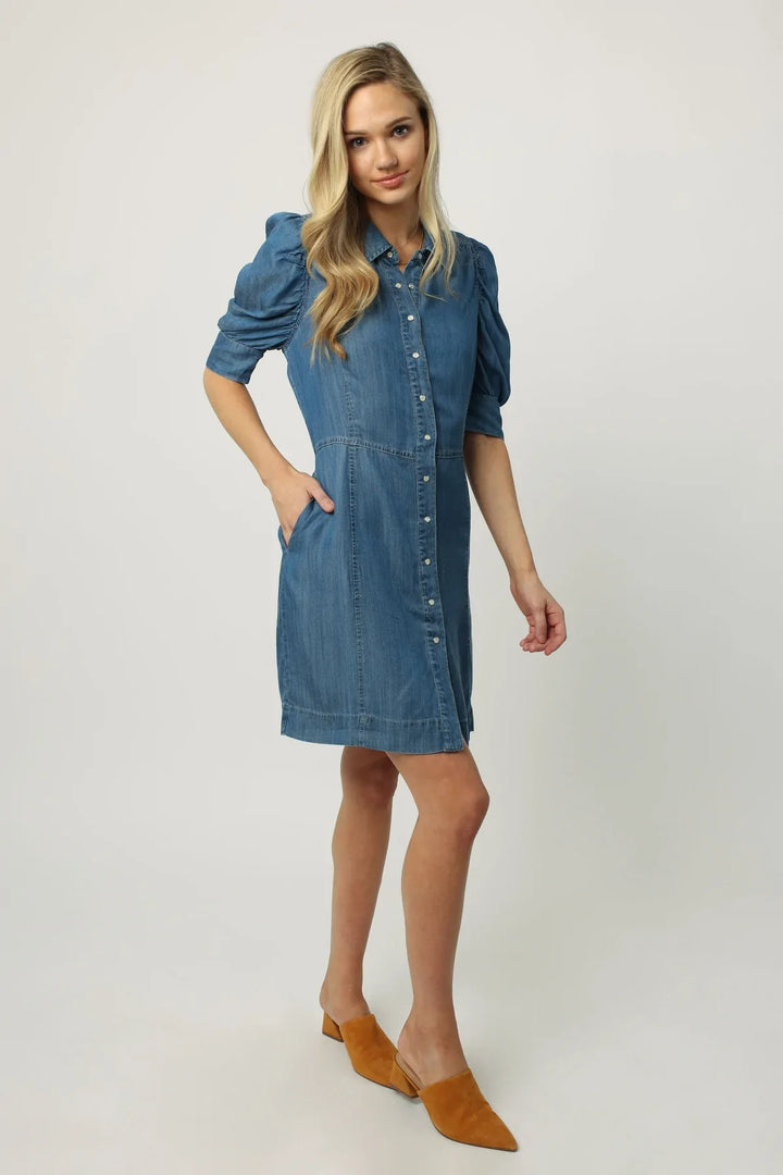 Dear John Adeline Short Sleeve Dress - Denim