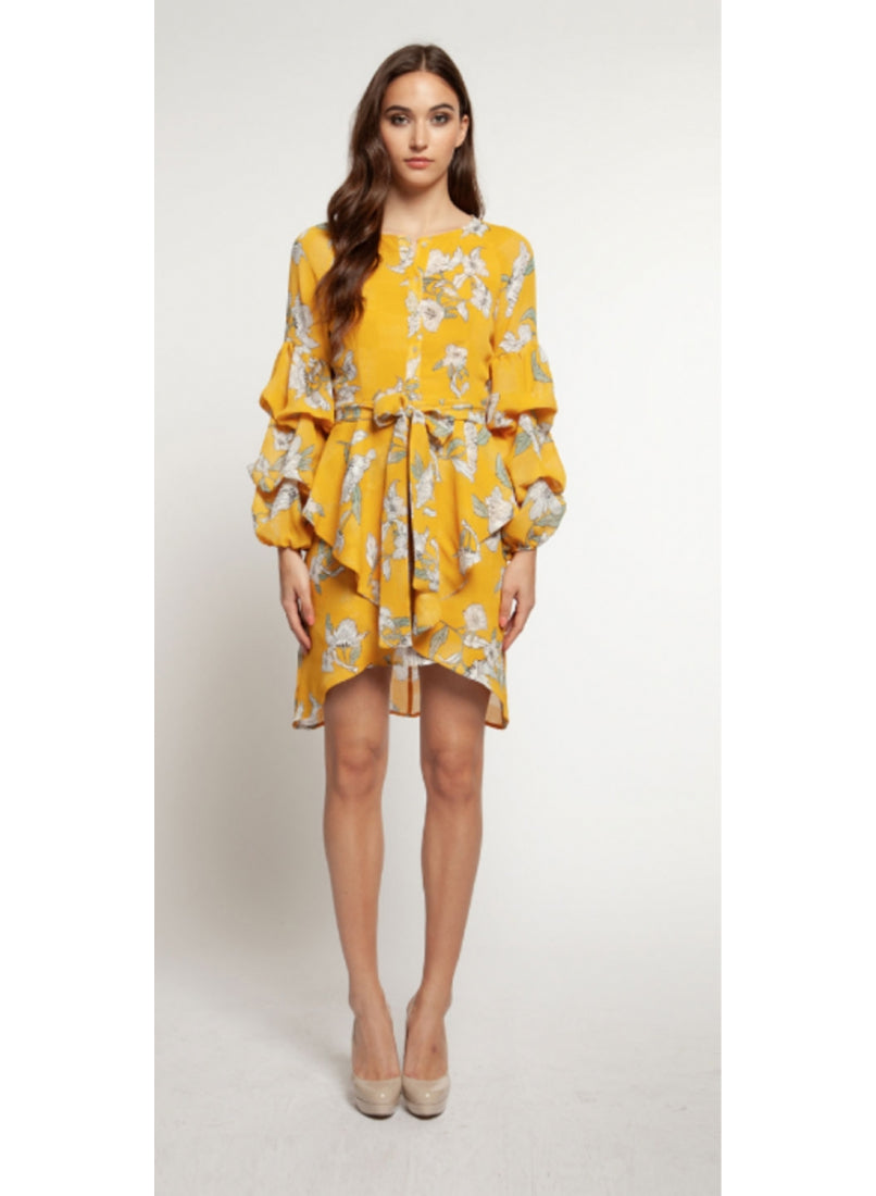 Dex Golden Spring Print Dress