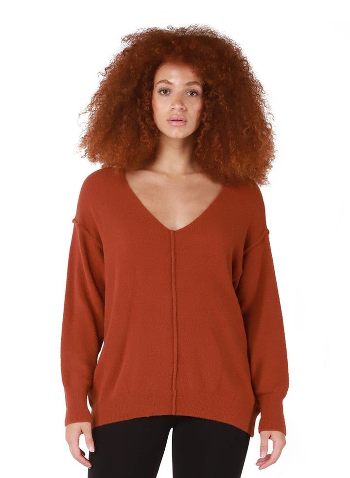 DEX Exposed Seams V-Neck Sweater