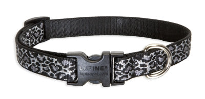 Collier pour chien Lupin 3/4''x9-14'' Wild Thing 426