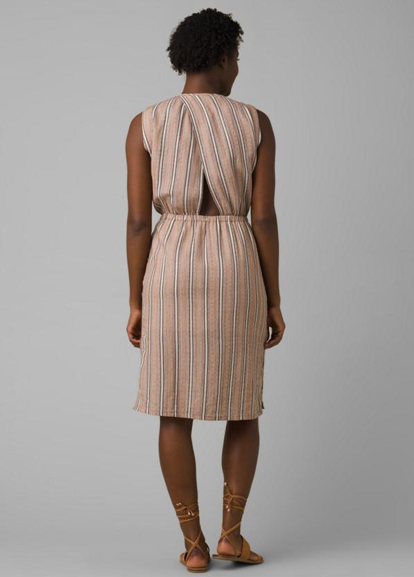 PrAna Women's Ecotropics Dress